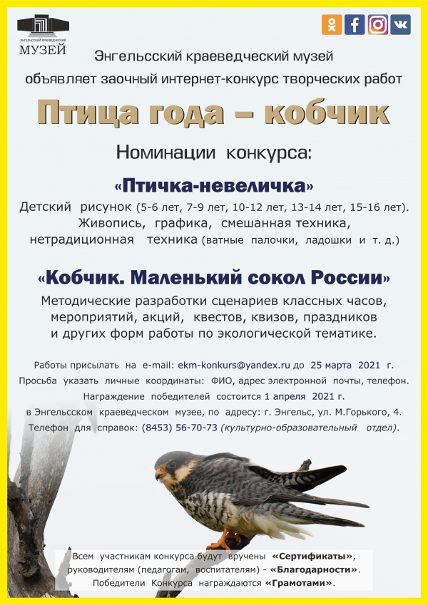 Энгельсский краеведческий музей объявляет творческий конкурс «Птица года – кобчик»!